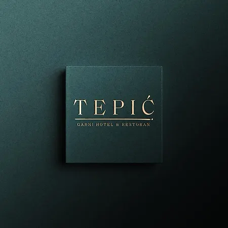 Hotel Tepic Garni Temerin